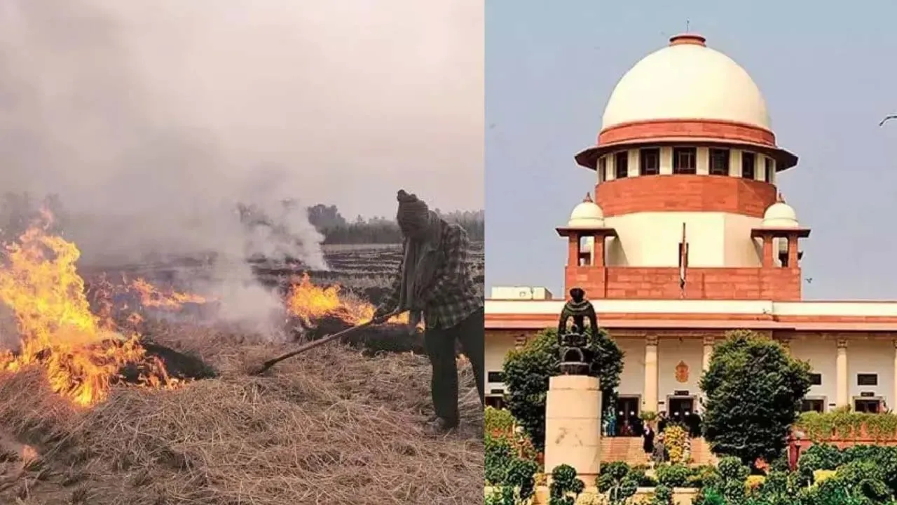 पराली जलाने के मामले में  पंजाब-हरियाणा को सुप्रीम कोर्ट की फटकार।